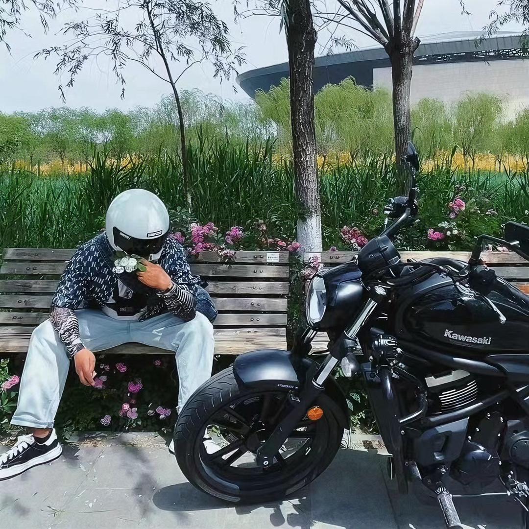 霍尔的移动城堡