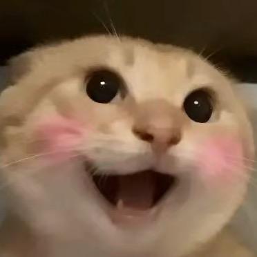 𝙋𝙀𝙄𝙋𝙀𝙄