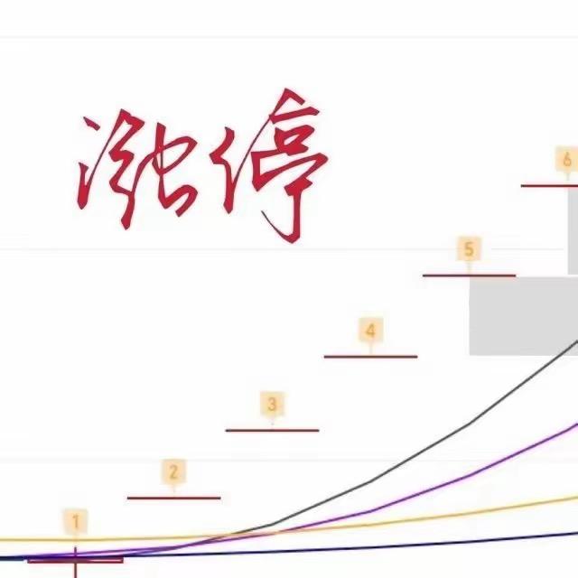 老白抓主线