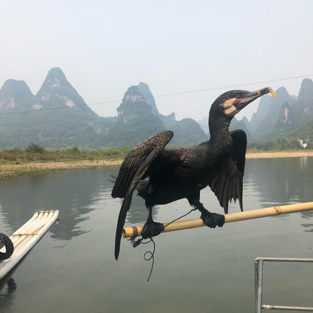 何必当真！