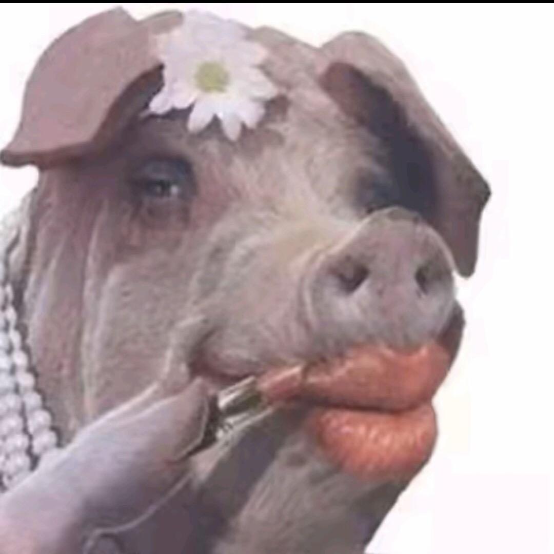 耗·子（太阳哥的小跟班）