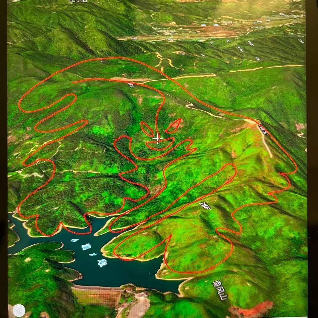 高州林看风景