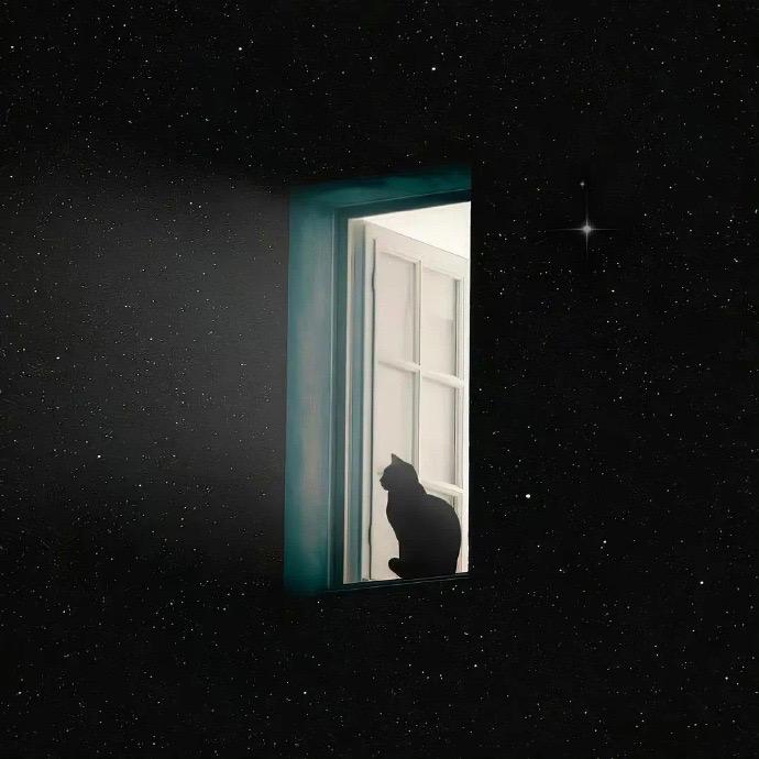 猫云峰☁️