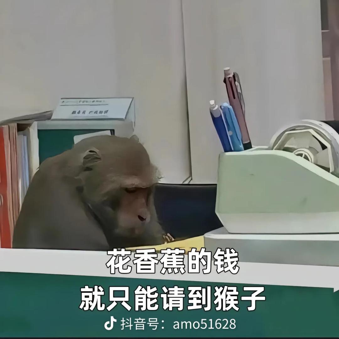 用户3447612121767