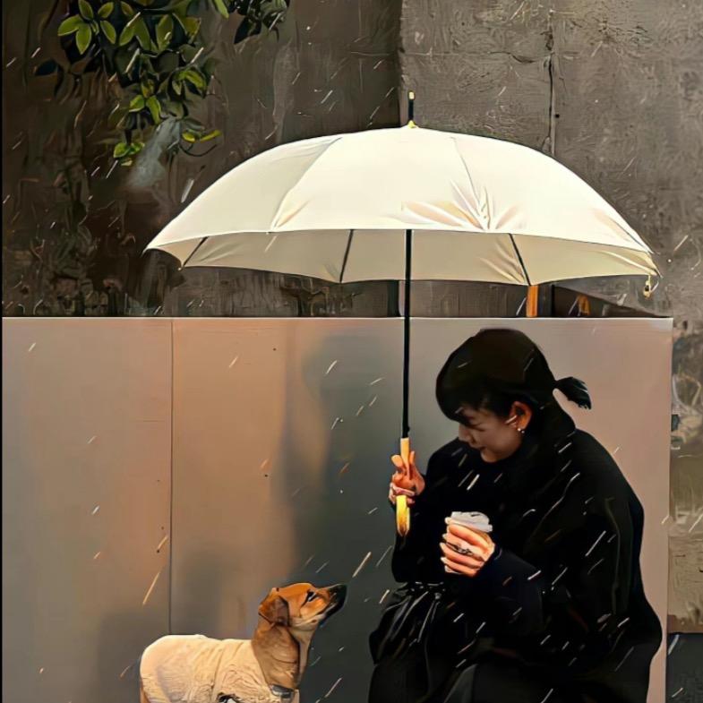 熹金.