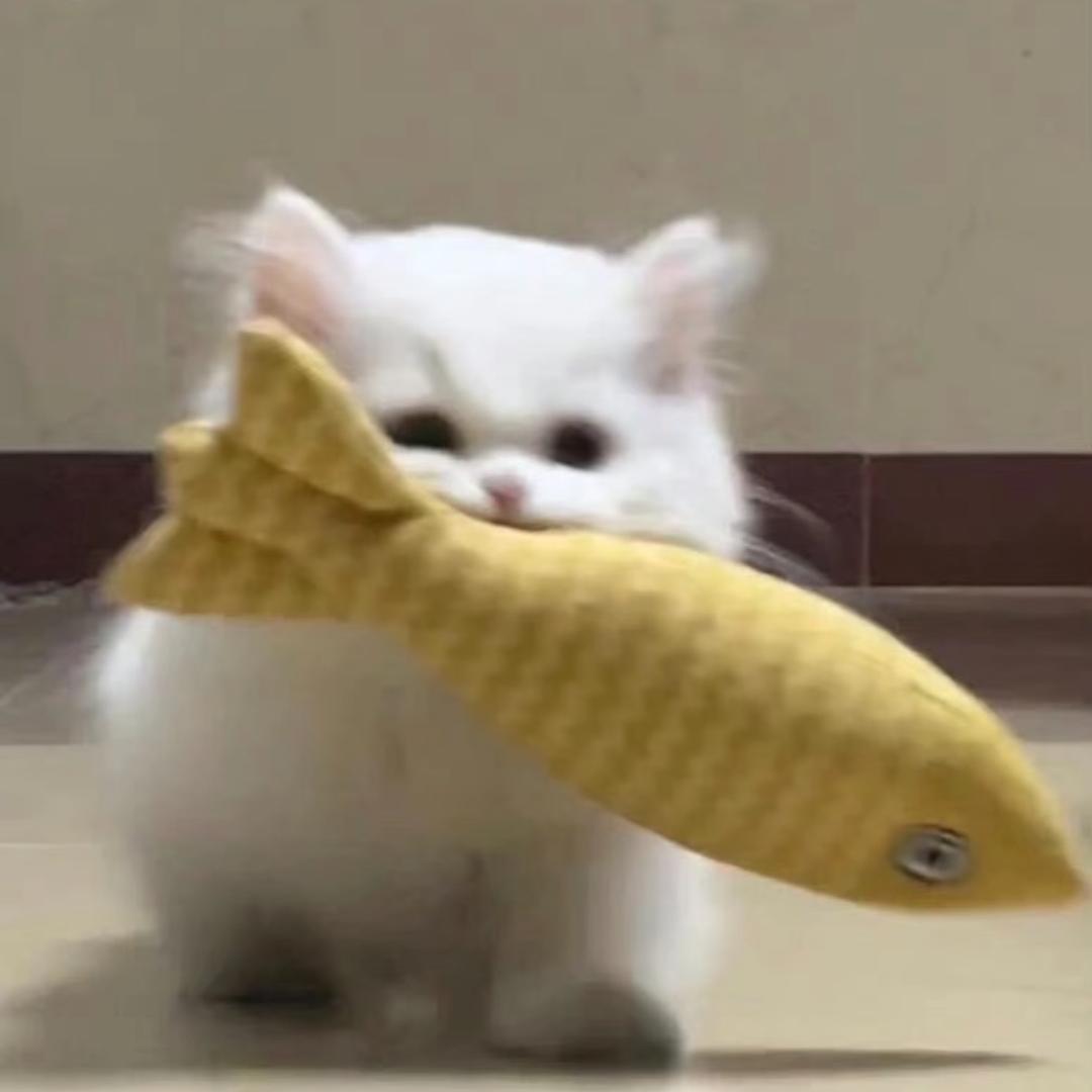 物是人非事事休