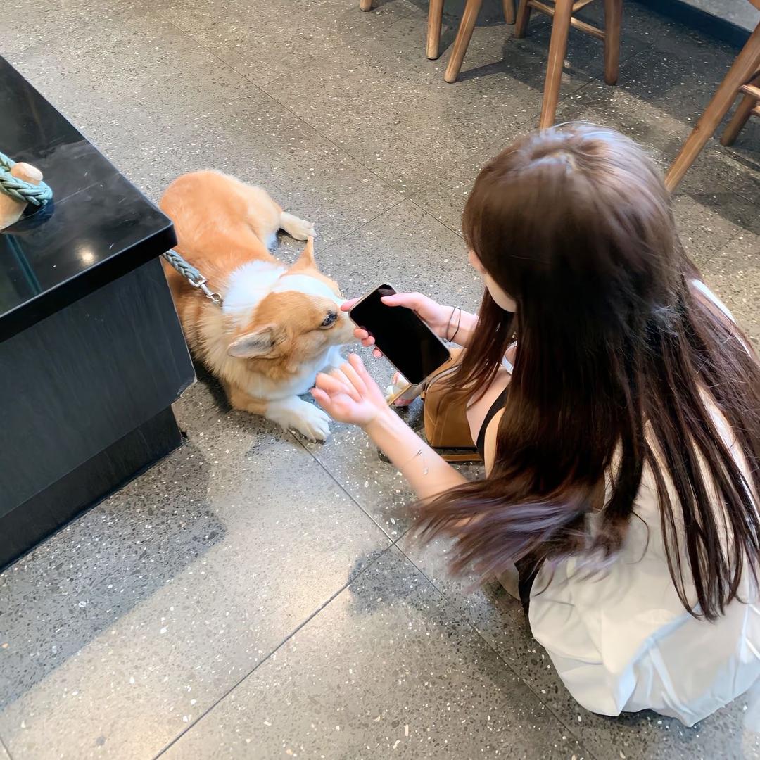 ㅤㅤ鱼