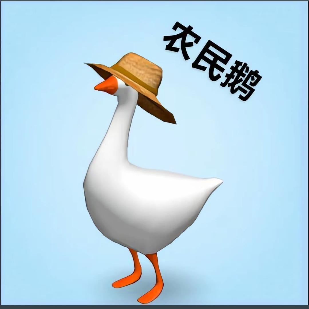 仔仔又菜又爱玩.