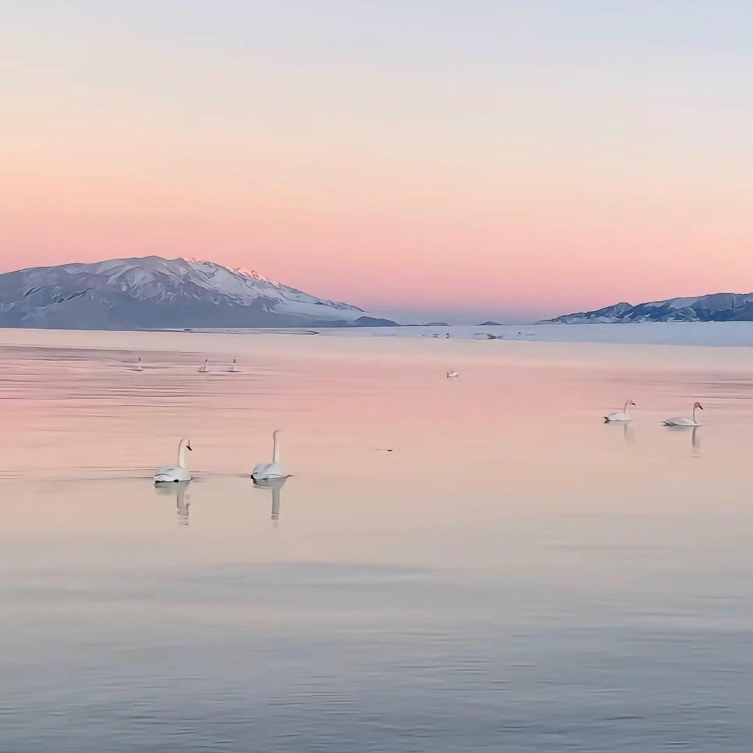 富士山🗻