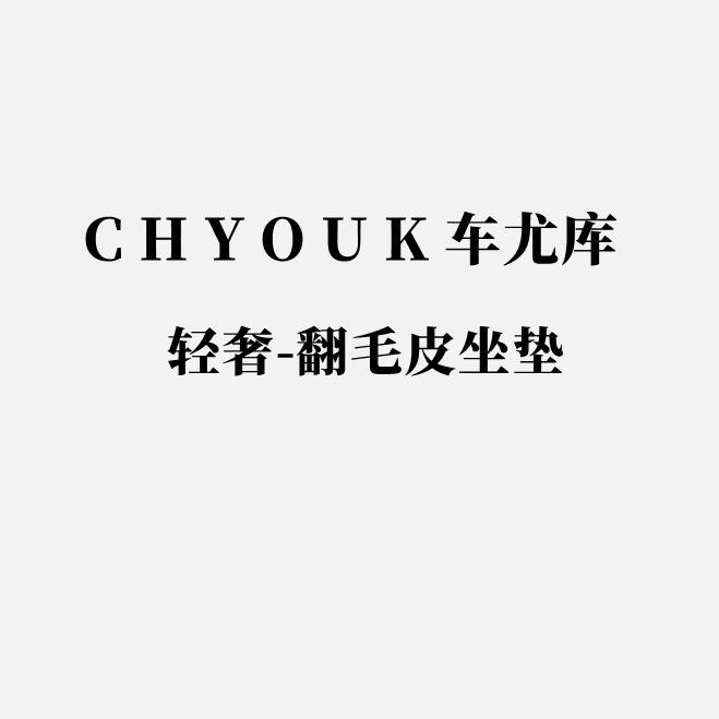车尤库清河县舒牌汽车用品有限公司汽车用品专卖店