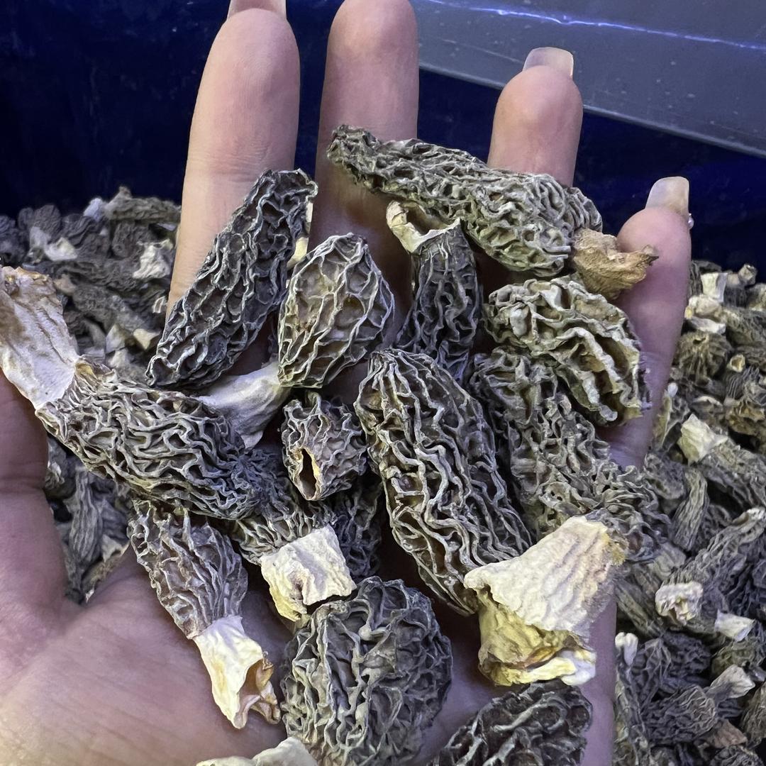 泽裕干货精选小铺