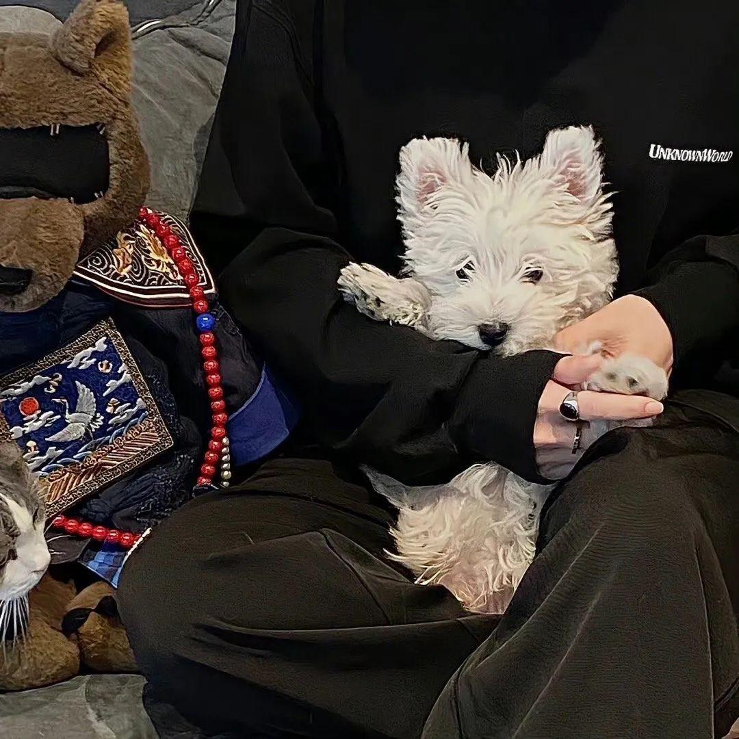 _星晨宠物生活馆🐈