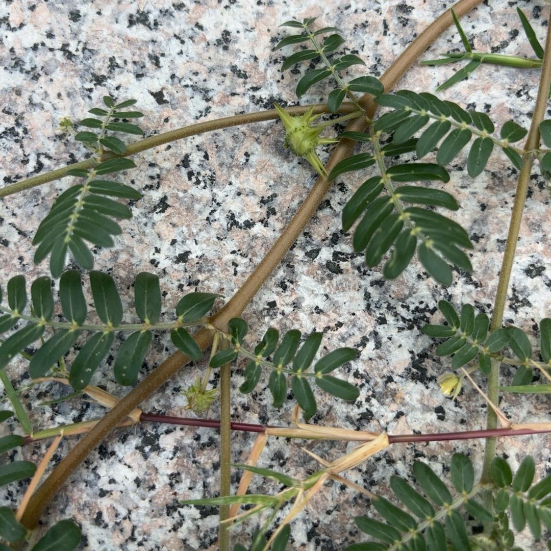 诗韵鞋业工厂店