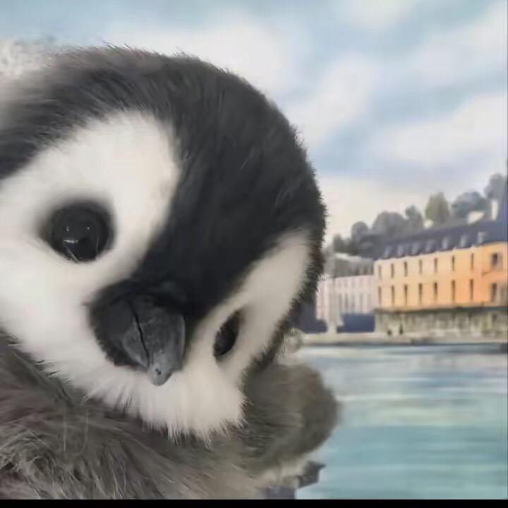 0⃣️个土豆