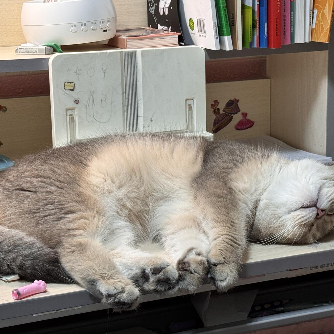 四季课堂图书企业店