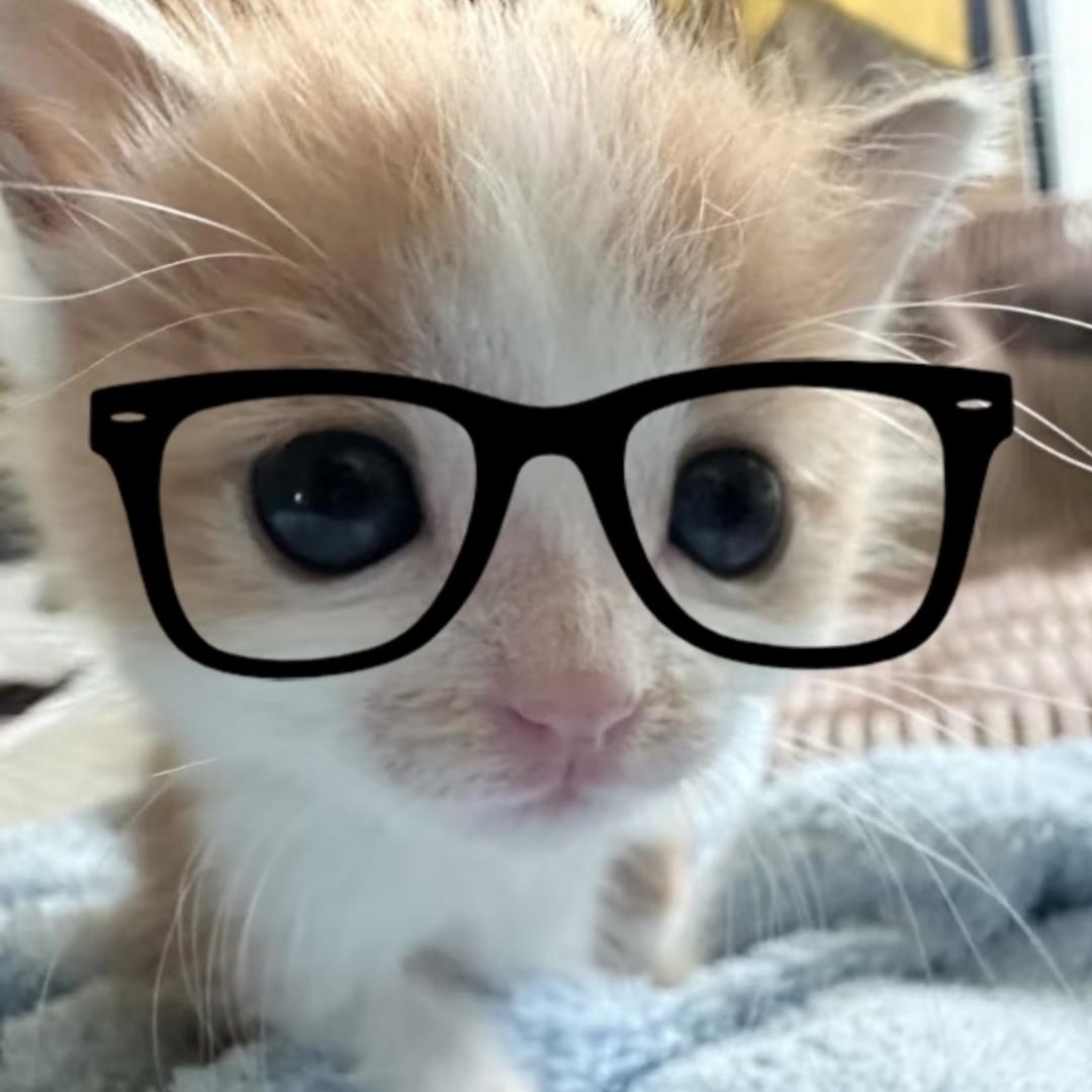 写什么诗（绝望版）