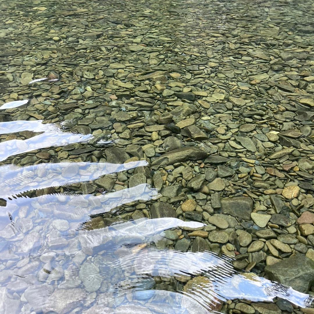就是荣荣啊