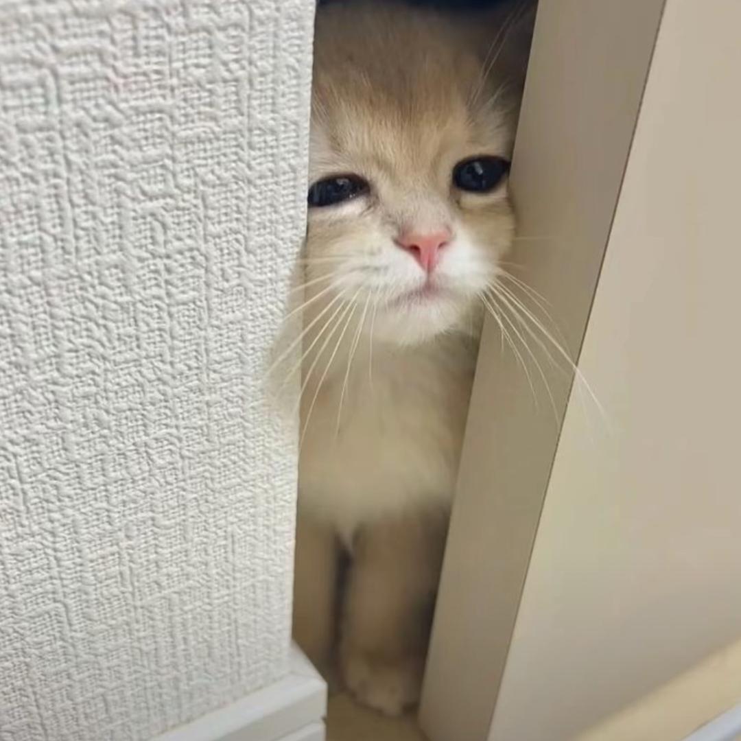 好害怕你发额