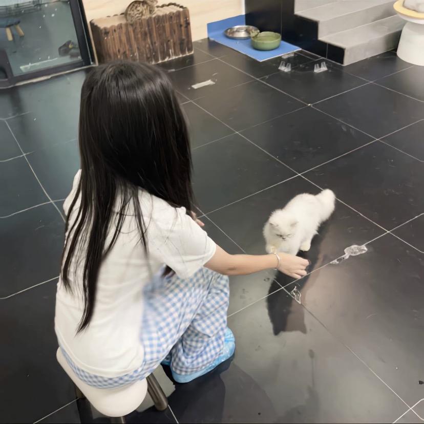 折诗雪