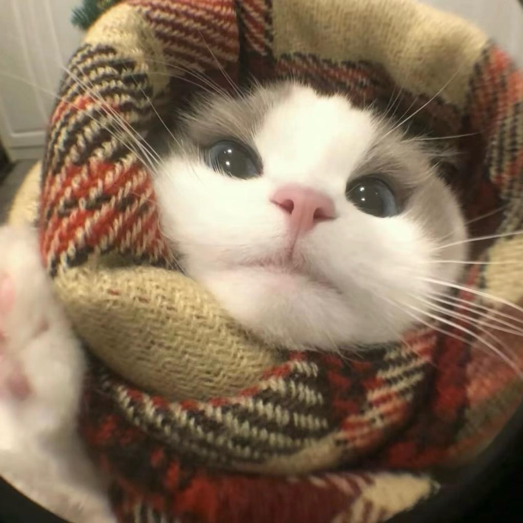 昵称.