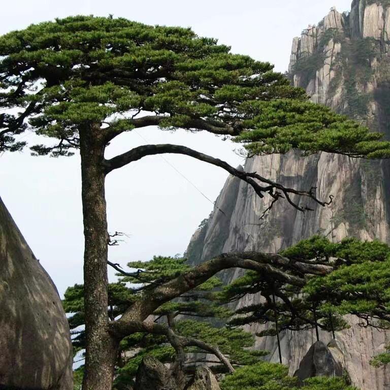 爱念重生💕