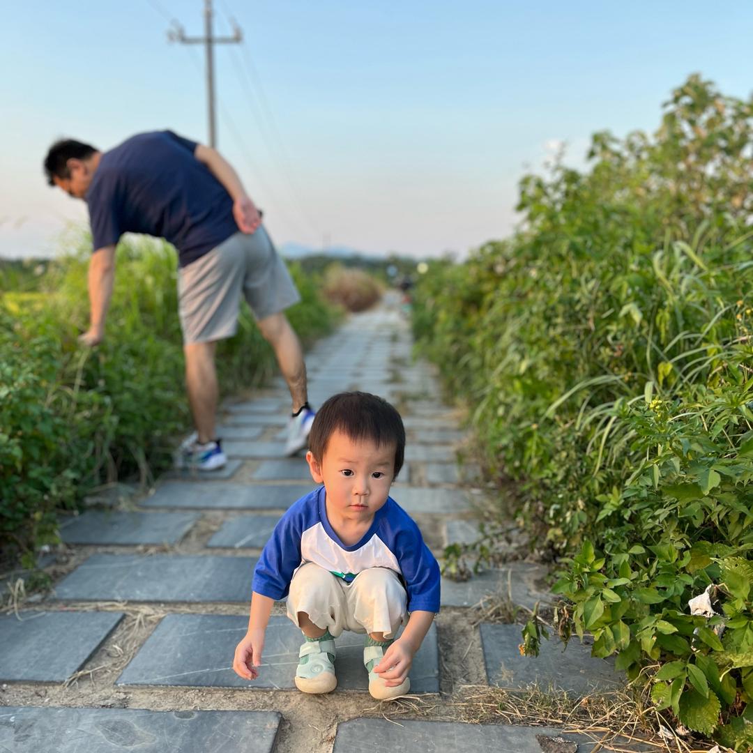 大图图麻麻