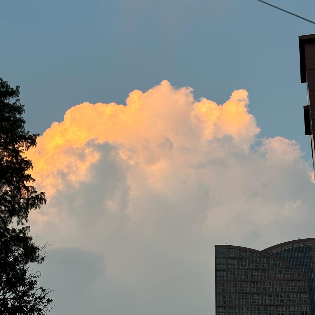 是番茄也是西红柿