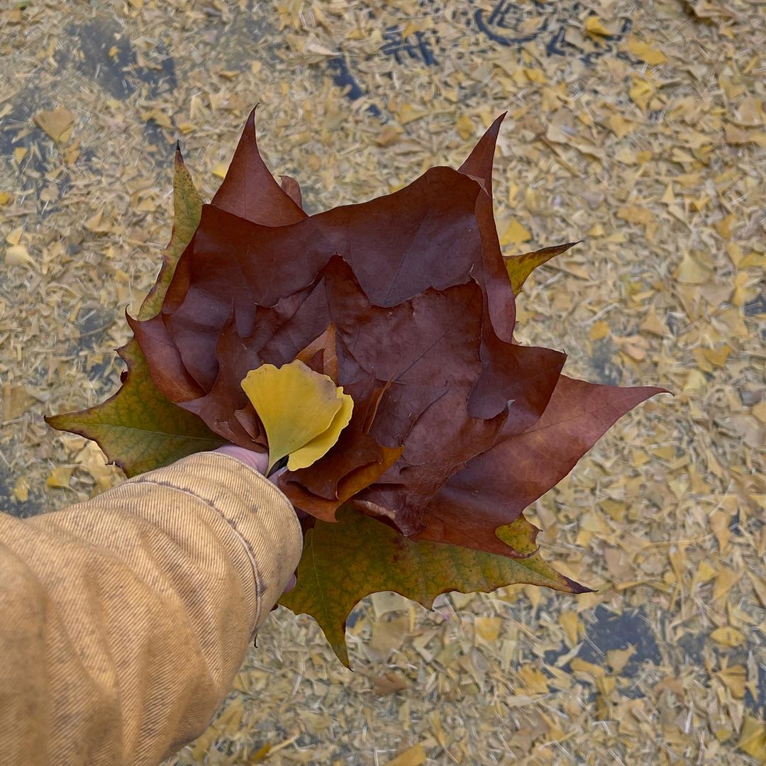 山楂