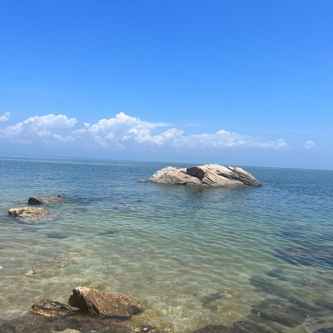 为了玩王者而努力背书的小姚