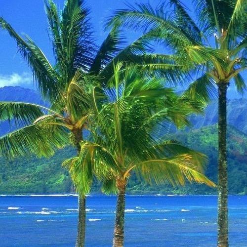 执～着