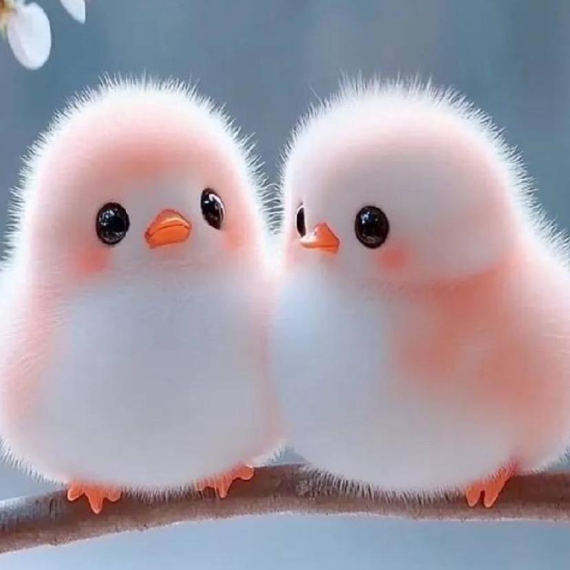 冰心，李家老五、风中有朵雨做的云