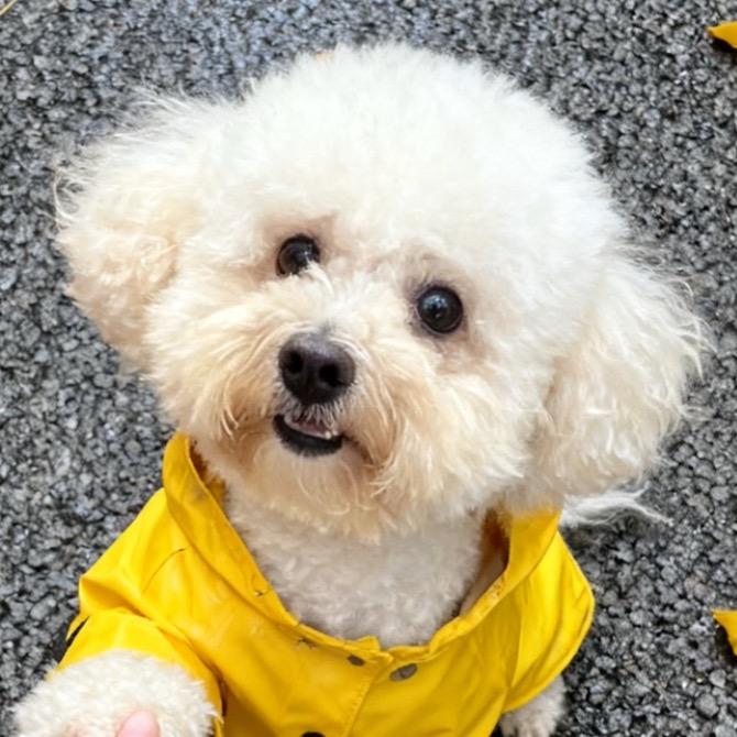 一只小十九哇～