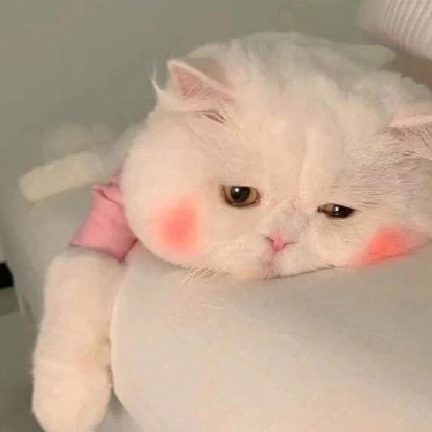 ℳ *全糖去冰*ℳ