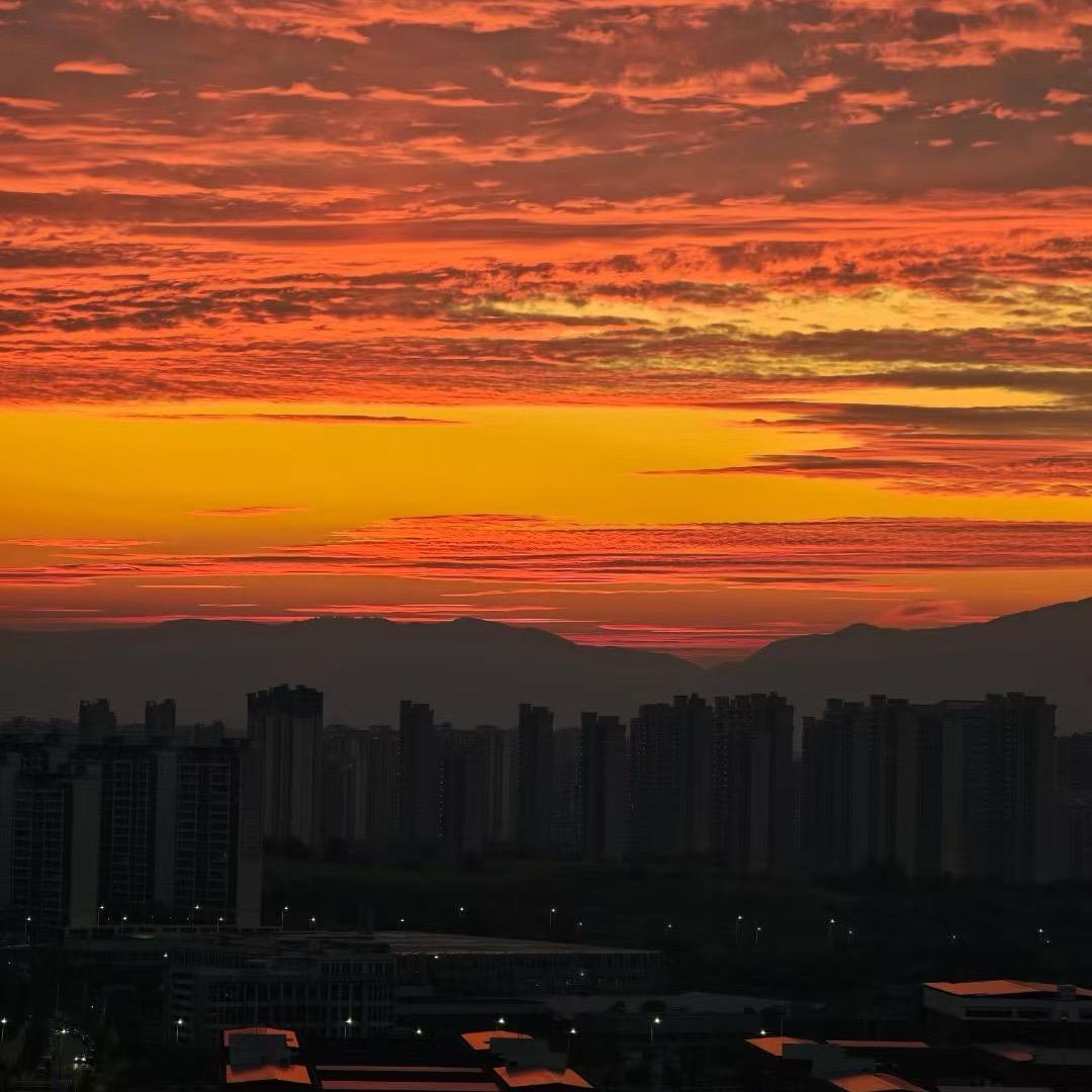大杨带武器