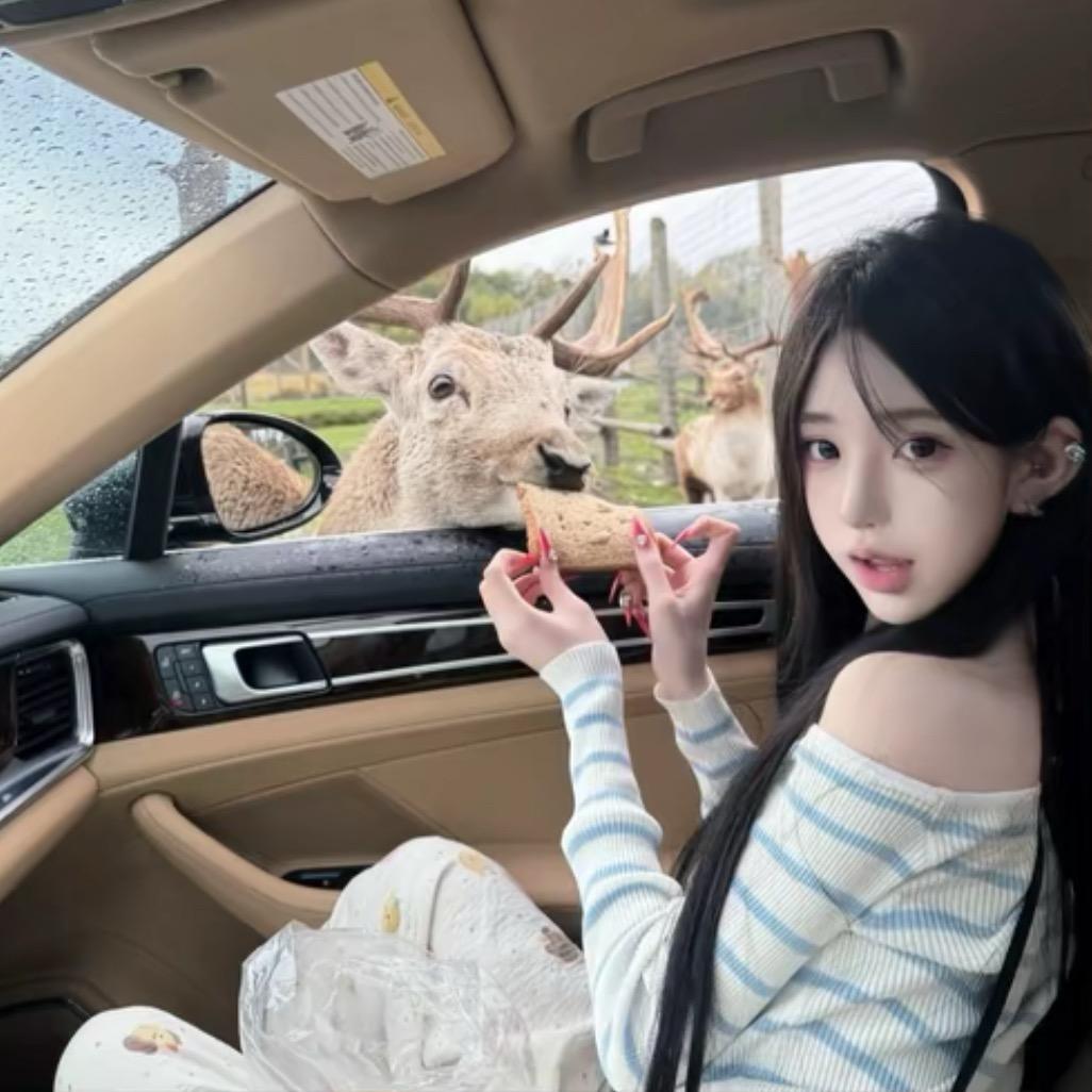 胆小鬼🧚🏼‍♀️