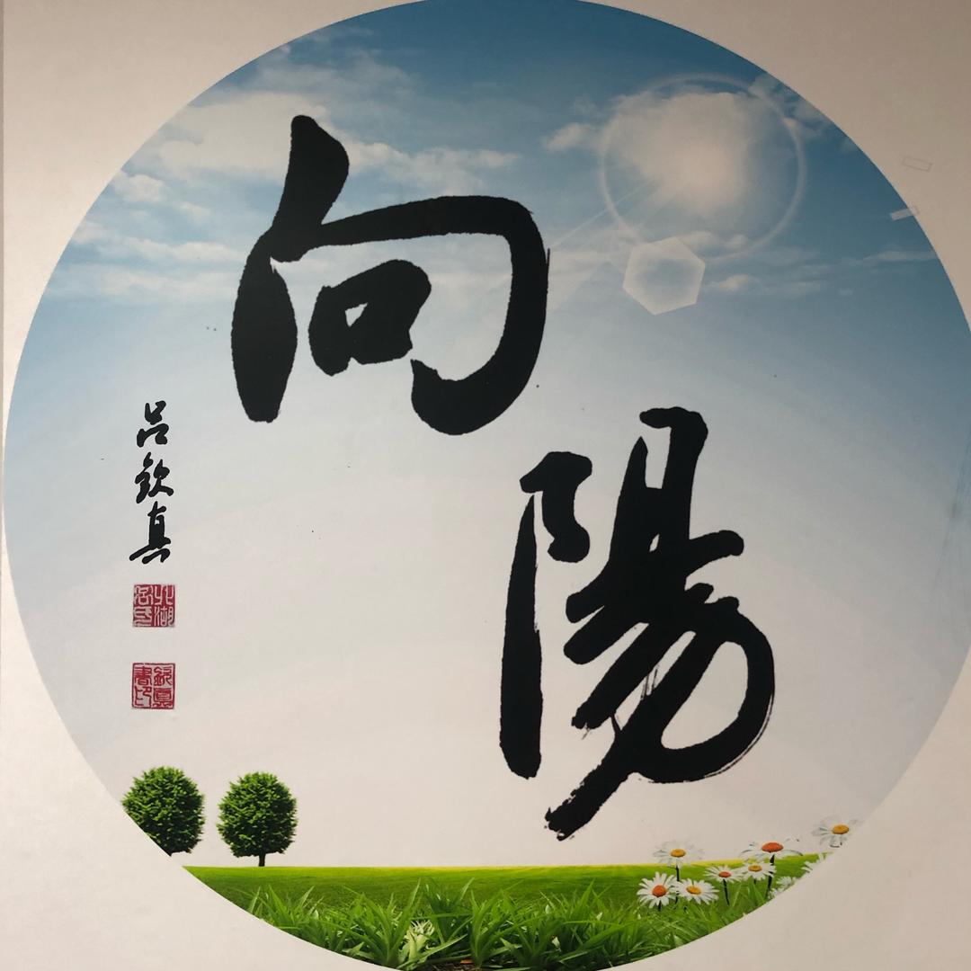向阳书画院