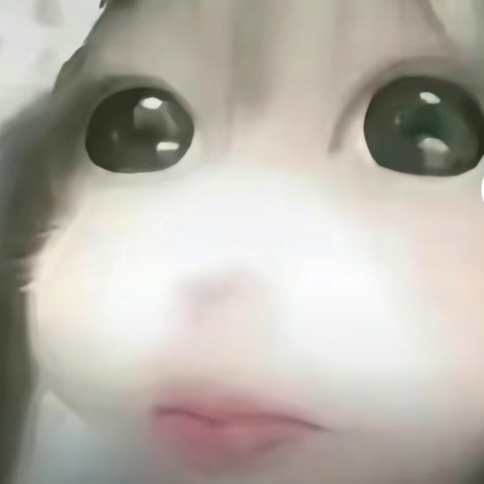 少萝游戏队长