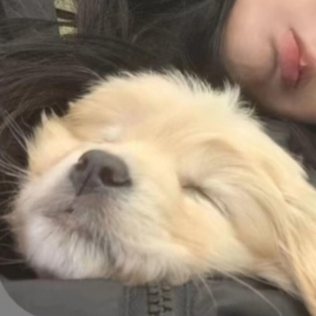 阿关