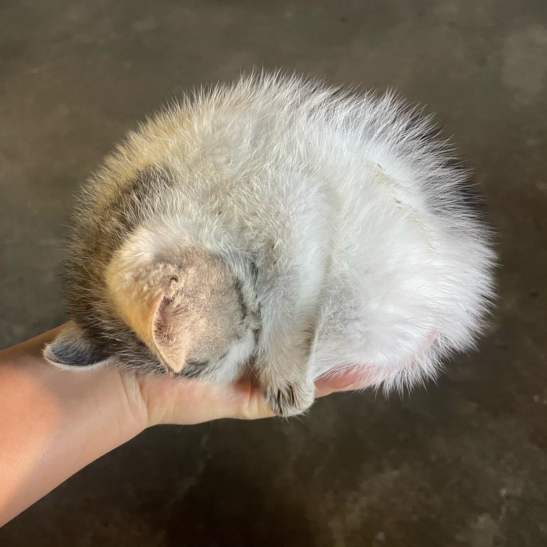 曾较瘦