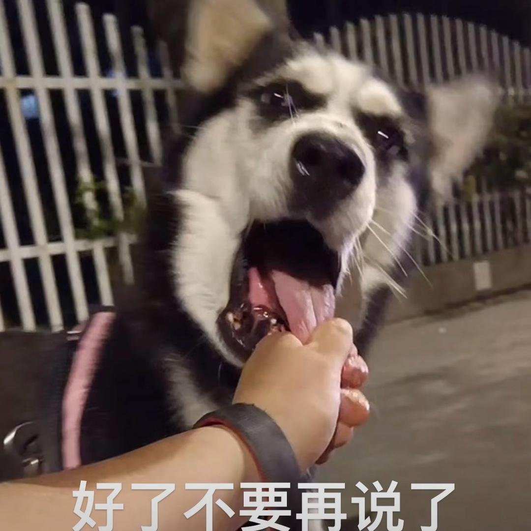 洋