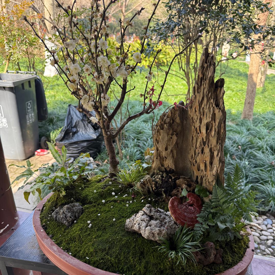 逆风行