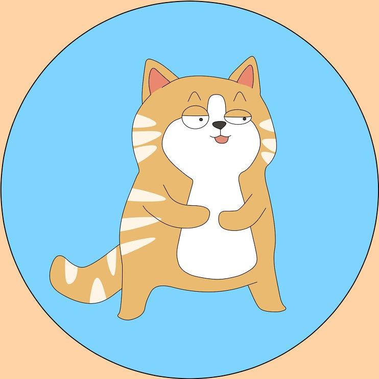 聚猿创团队橘猫老板
