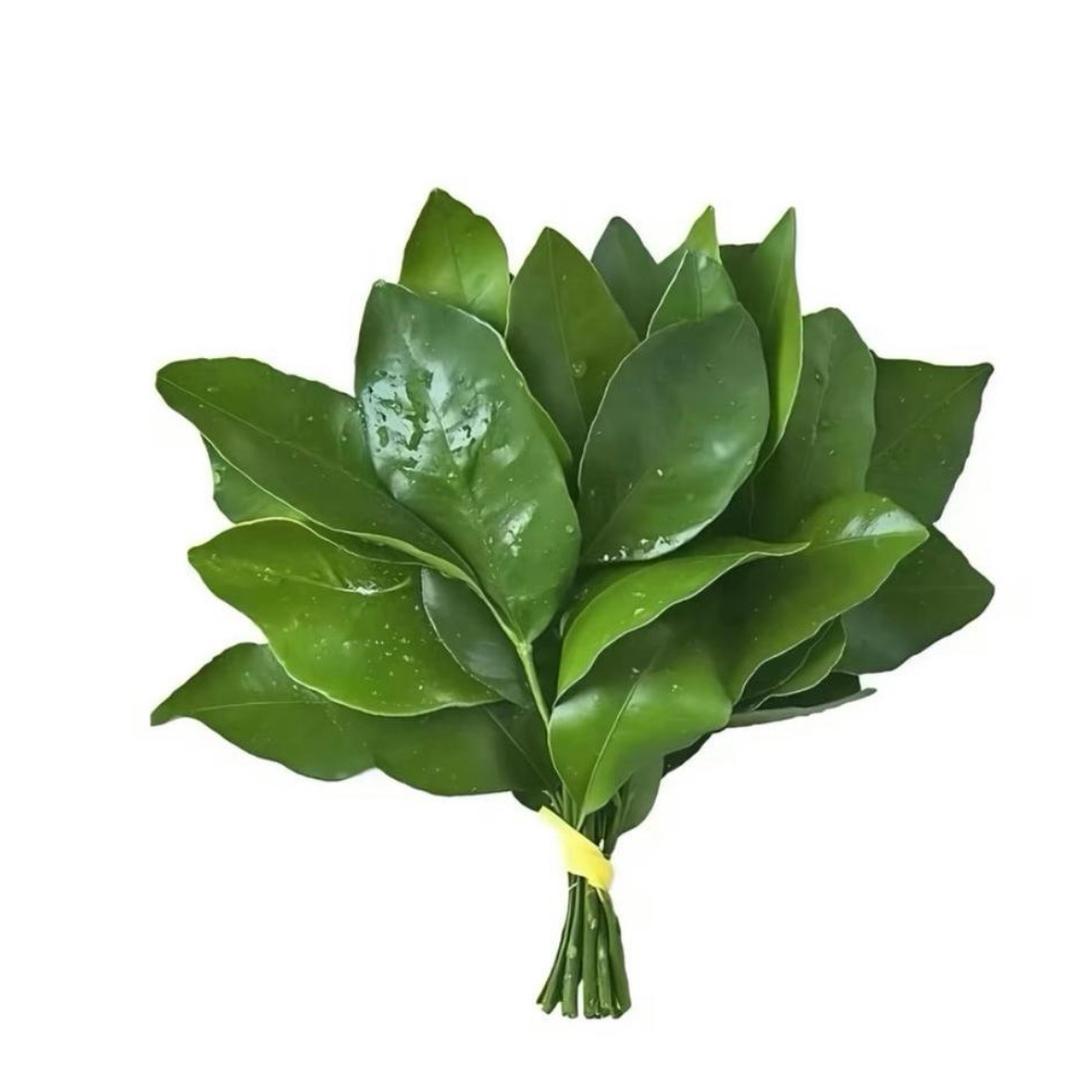 鑫欣好物家居
