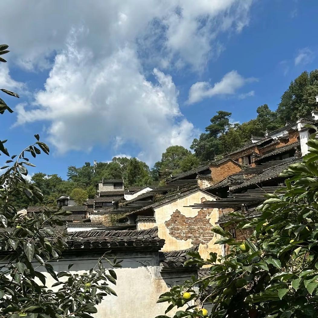 阿泉