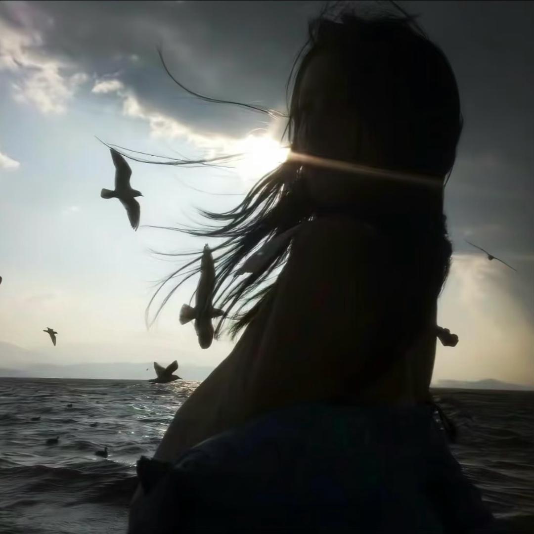 x ㅤㅤㅤㅤㅤㅤㅤㅤ