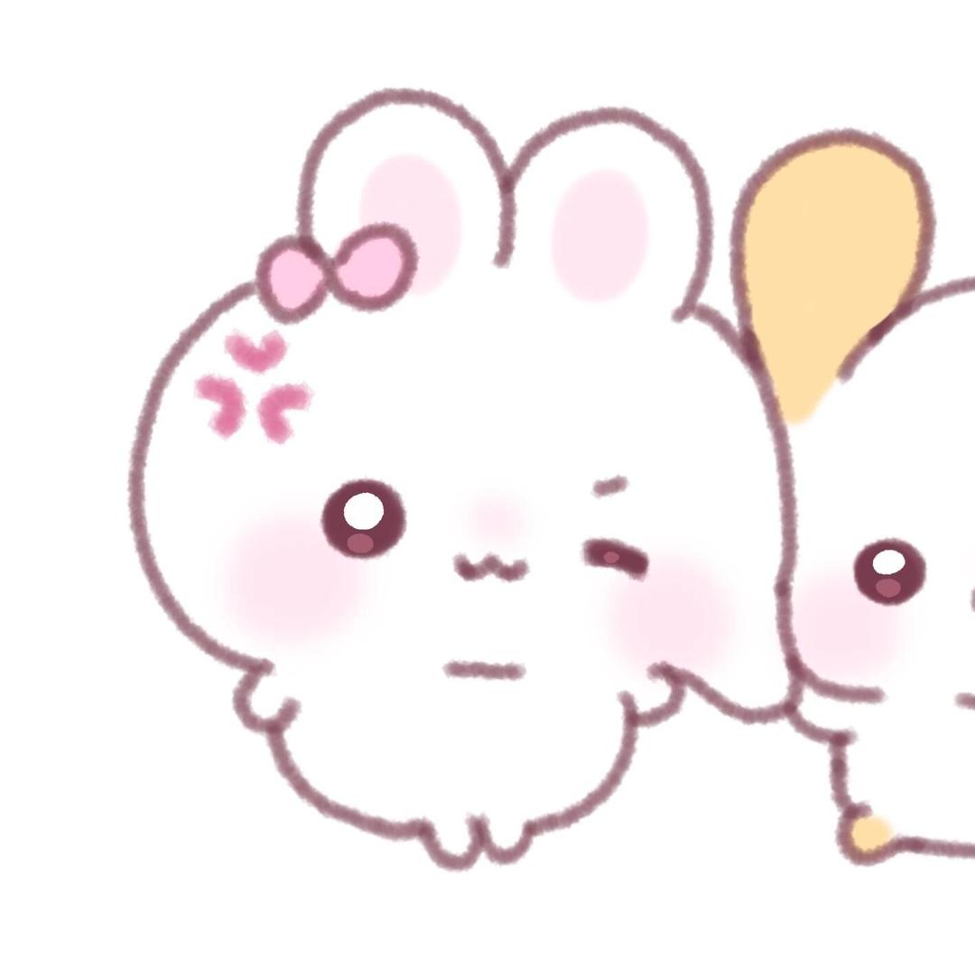 Kitty不说hallo