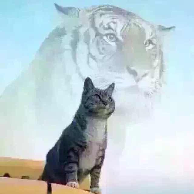 万里