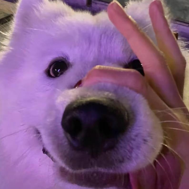 念念