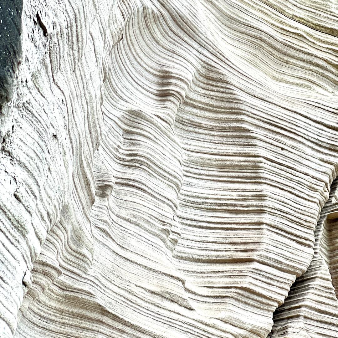 张可乐cola.chuang