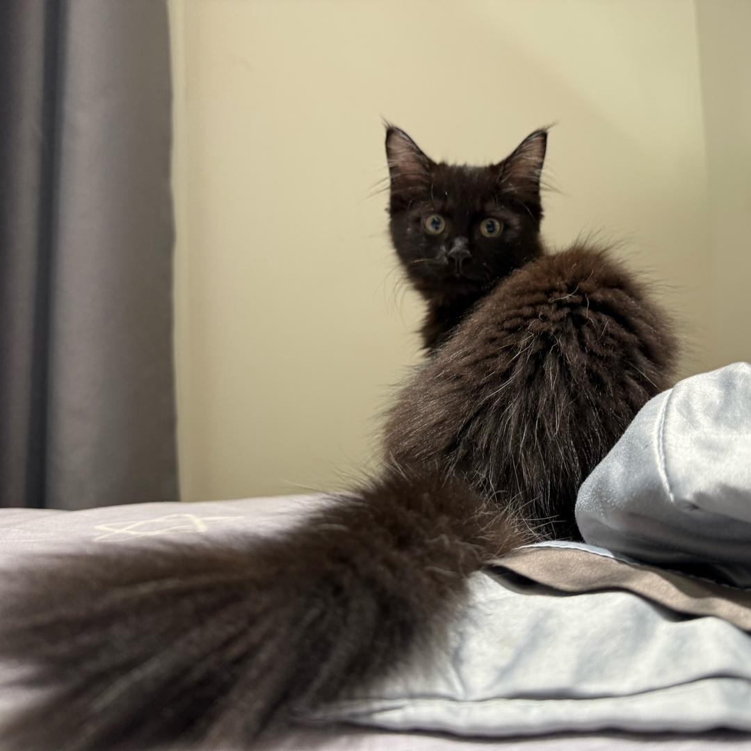 清弦好货集萃铺